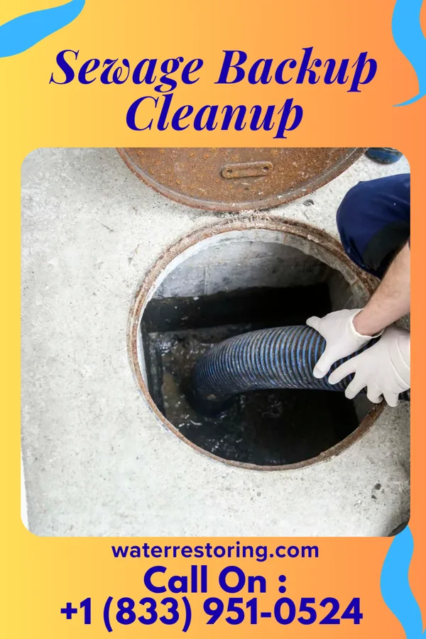 Sewage Backup Cleanup in Niceville, FL
